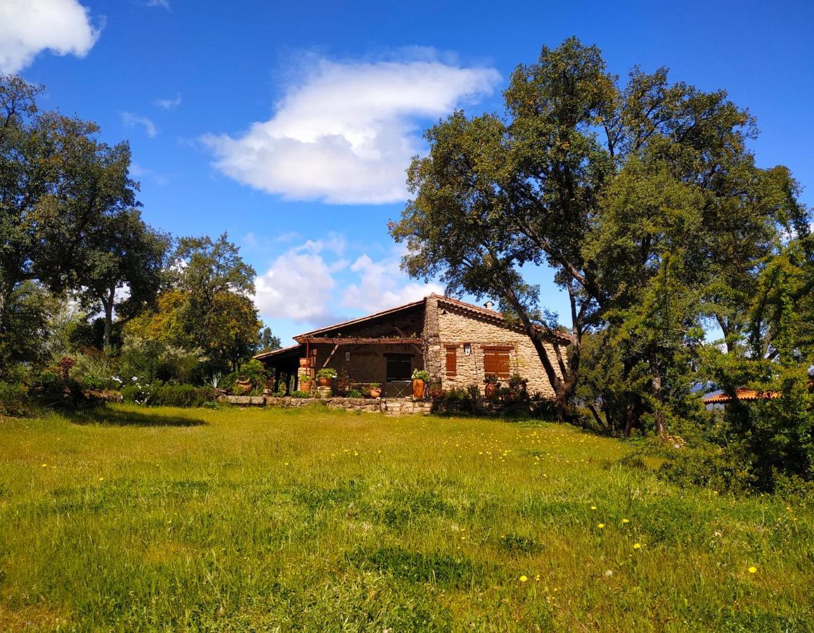 La Simona Casa Rural Perales del Puerto Exterior foto